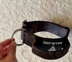 Hundehalsband und Leine