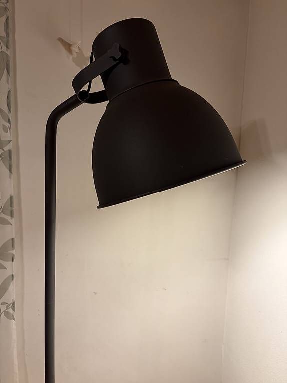 Lampade: Lampada da terra  – Usato da Tesserete venduto da ver_8yzw 1