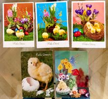 5X AK : Fröhliche Ostern - Joyeuse Pâques - Poussins