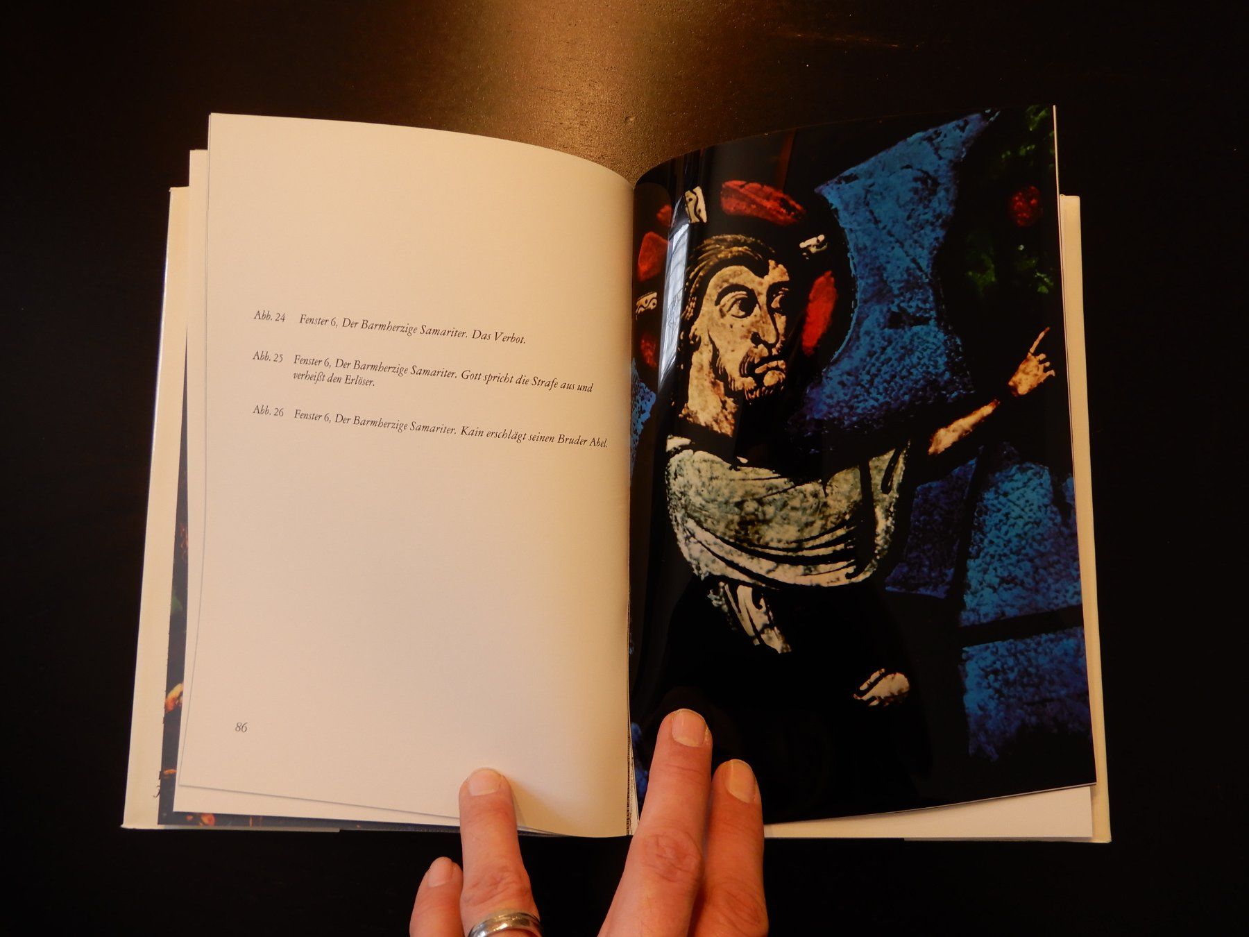Libri: Kathedrale von Chartres - Glasmalereien Buch – Usato da Erstfeld venduto da Mario_boe0 7