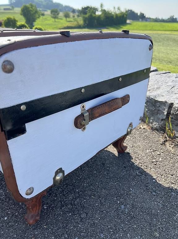 Tavoli: Salontisch aus Überseekoffer – Usato da Tuttwil venduto da Sternli1980 2