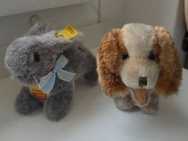 Hund und Hase