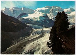 Am Bovalweg - Morteratschgletscher mit Piz Palü & Piz Bellav