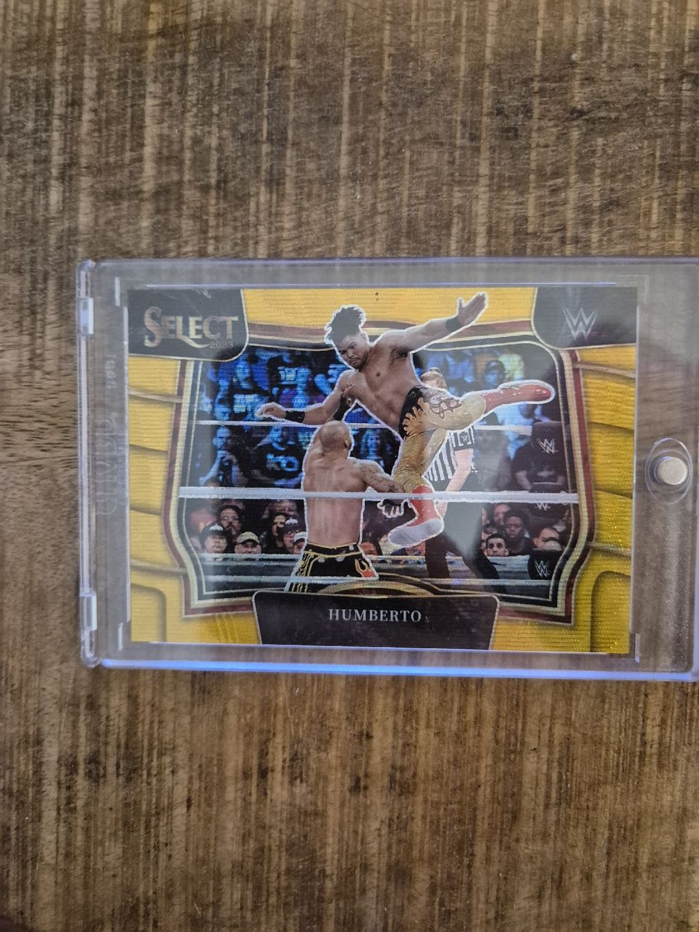 Panini Carte collezionabili: Panini select wwe 2023 gold Humberto /10 – Nuovo (secondo la descrizione) da Wetzikon ZH venduto da jas_c5d8