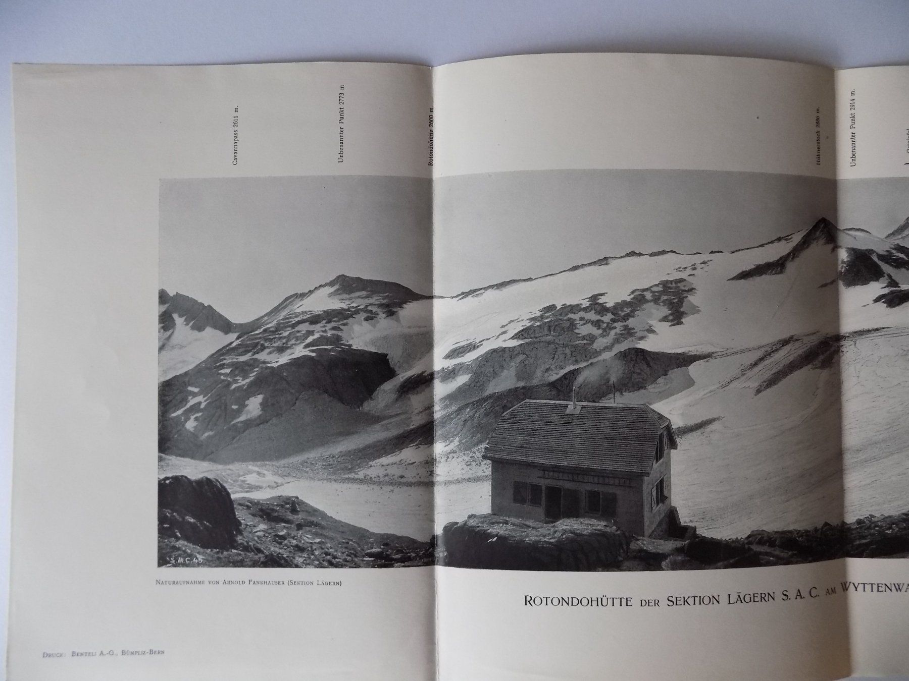 Incisioni: Wyttenwassergletscher Blick gegen Süden – Usato da Risch venduto da Antikfee 2