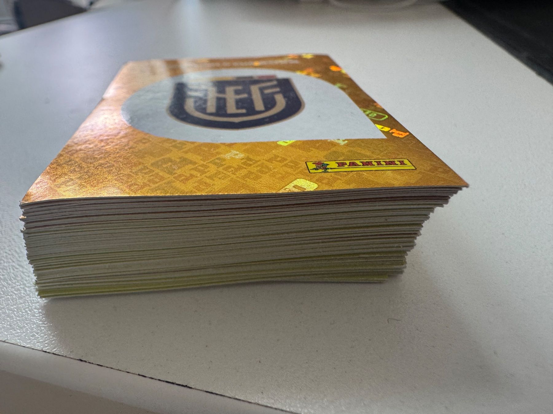 Panini Cartes à collectionner: Panini Stickers World Cup 2026 – D'occasion à Chatelaine par lae_7h8n 1