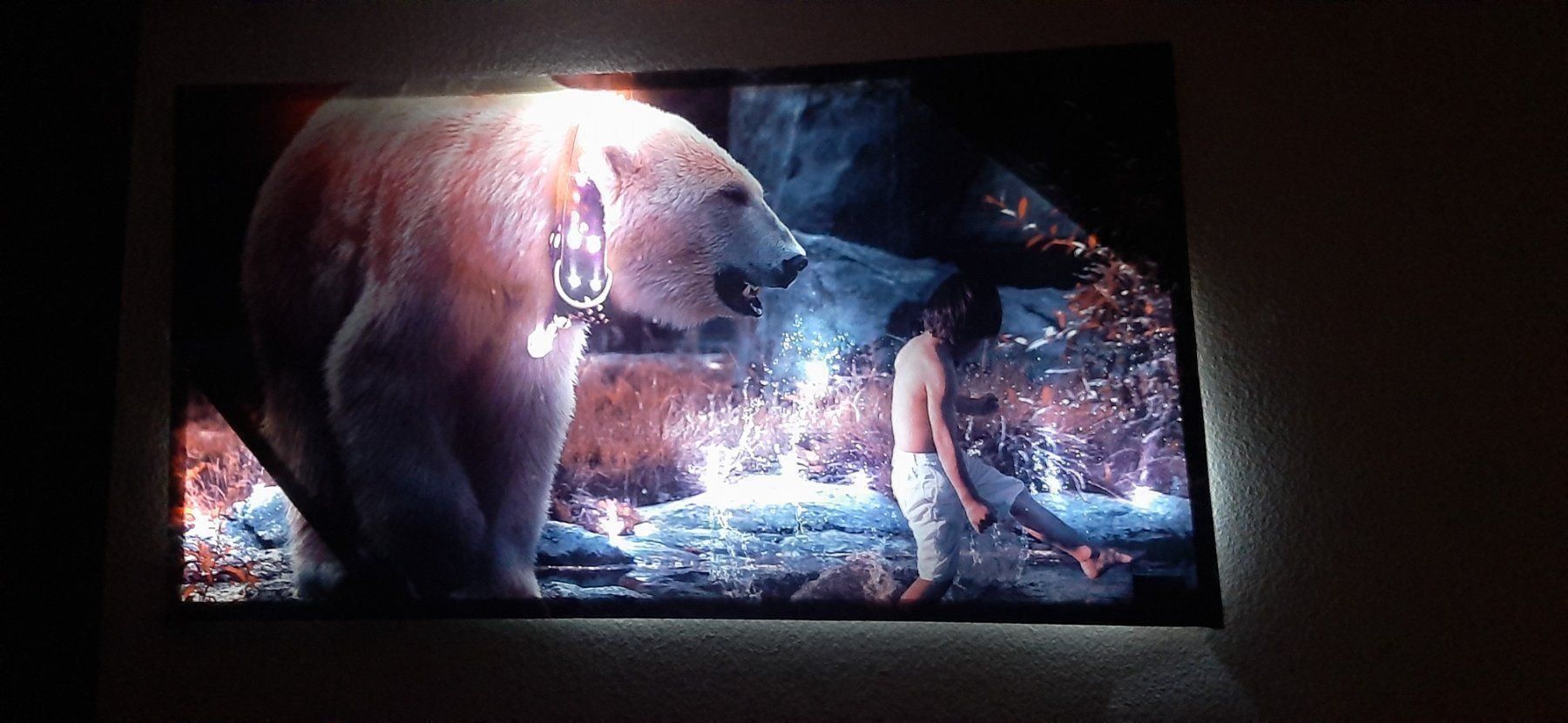 Poster & Bilder: Art Eisbär & Kind LED Bild XXXL – Neu und originalverpackt aus Kilchberg ZH von ruedi34 4