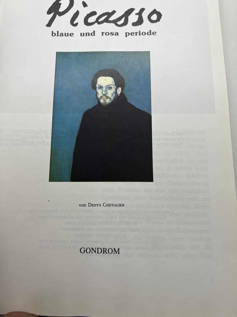 Libri: Denis Chevalier Picasso Blaue und Rosa Periode – Usato da Wettingen venduto da NickInc 1