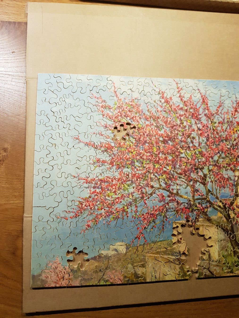 Penelope Puzzle: Antikes Holz Puzzle Penelope 300 Teile – Difettoso da Walterswil BE venduto da Lonitti 7