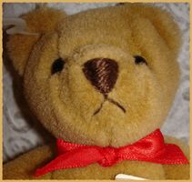 🌞 Kleiner Teddybär 16cm