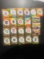 Panini Fifa 2026 Div. Lot 6