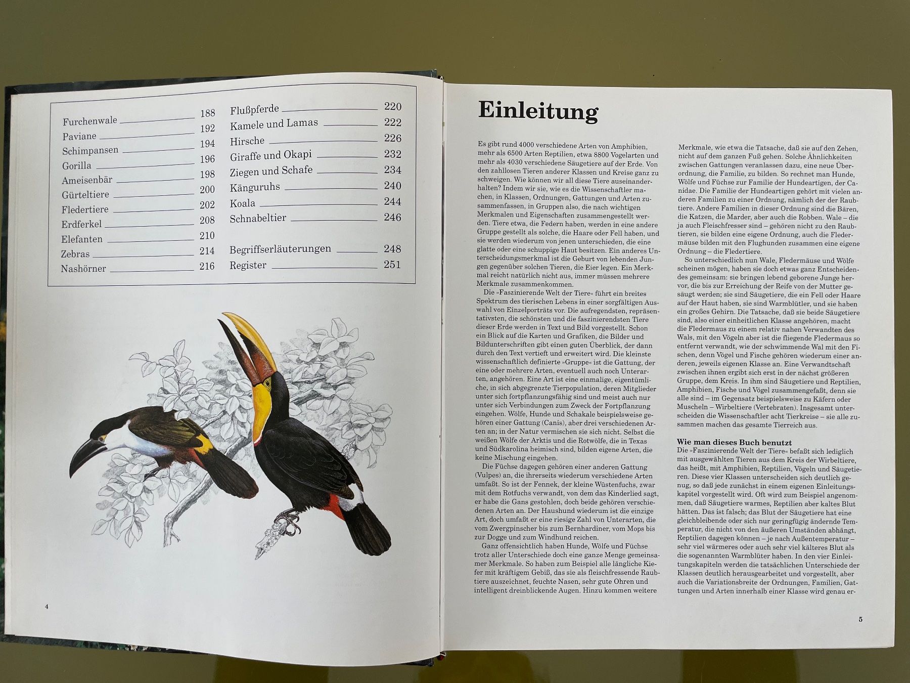 Libri: Faszinierende Welt der Tiere, 1991 – Usato da Sutz venduto da fx05 2
