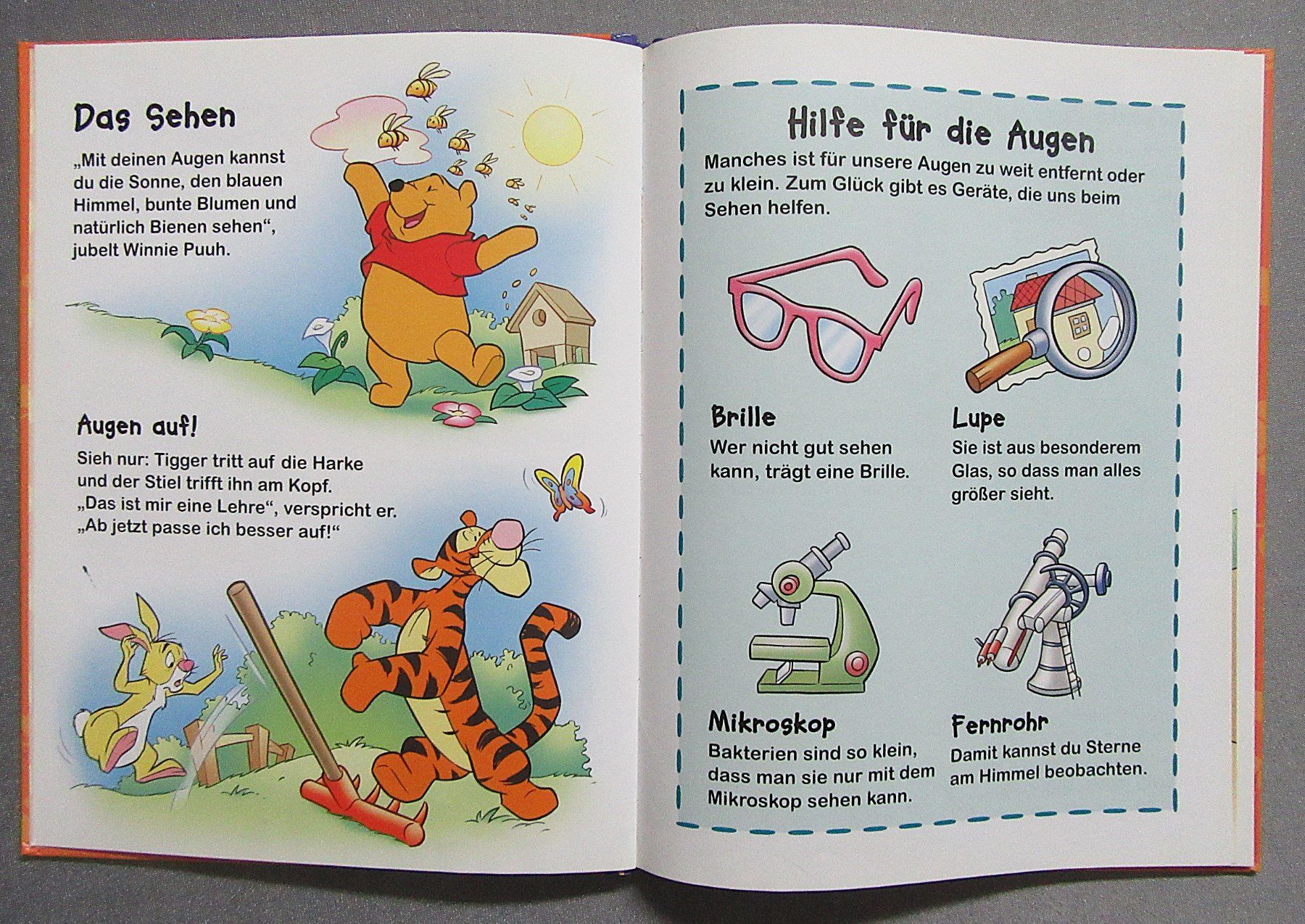 Libri: Winnie Puuh - Entdecke die 5 Sinne – Usato da Auenstein venduto da Padabimbim 2
