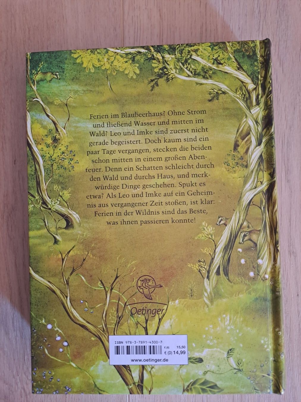 Libri: Das Blaubeerhaus - Antonia Michaelis – Usato da Untereggen venduto da ros_kz89 1