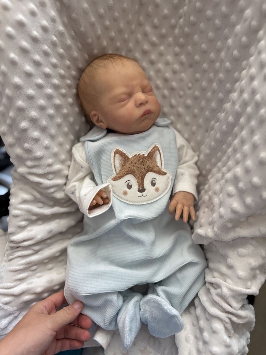 Reborn Puppen: Reborn  – Gebraucht aus Unterentfelden von van_m8g7 2