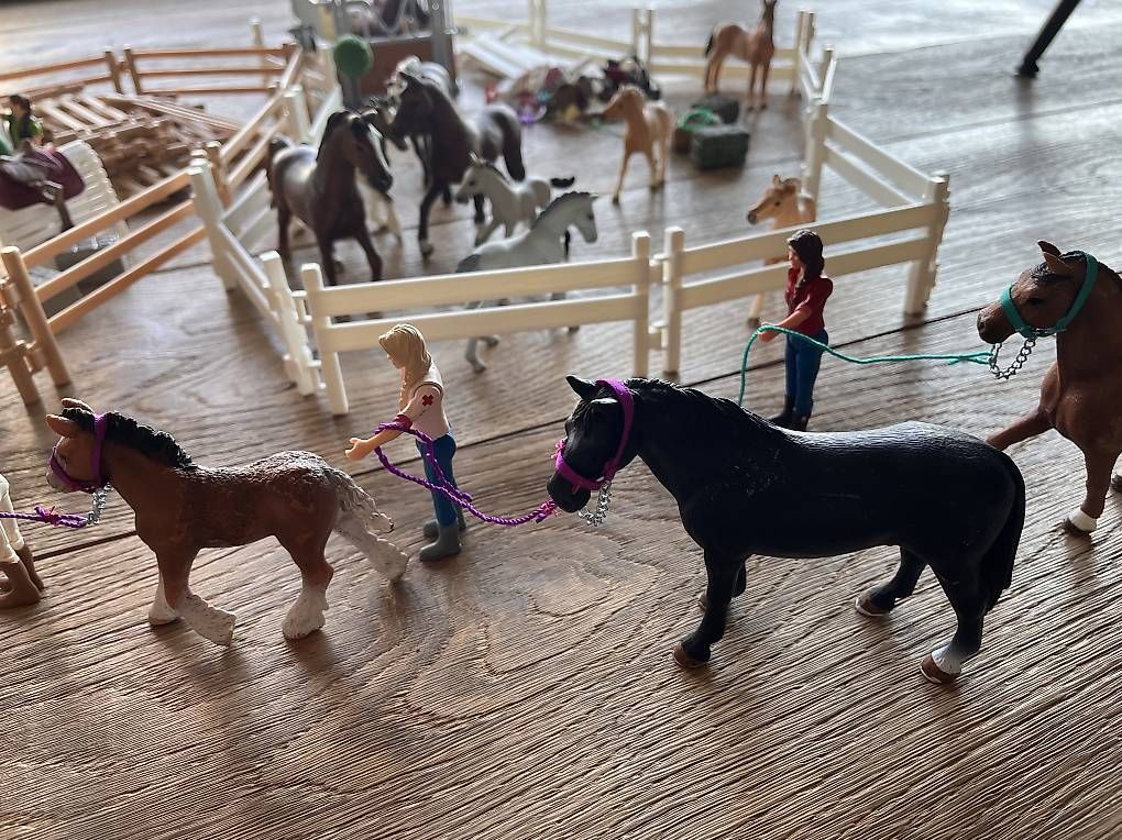 Schleich Giocattoli: 16 Schleich Pferde mit diversem Zubehör – Usato da Steffisburg venduto da car_qwr6 3