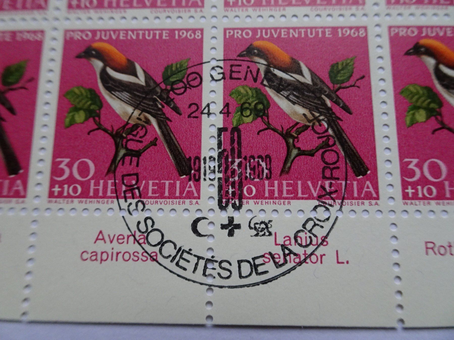 Tous les timbres: PJ 1968 – Neuf (Voir description) à Aadorf par Chnorli-Furz 1