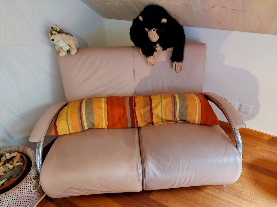 Divani: Ledersofa – Usato da Magden venduto da Pfilou 1