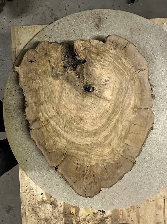 Articles en bois: Olivenholz Baumscheibe - 07 – D'occasion à Buus par macipioji