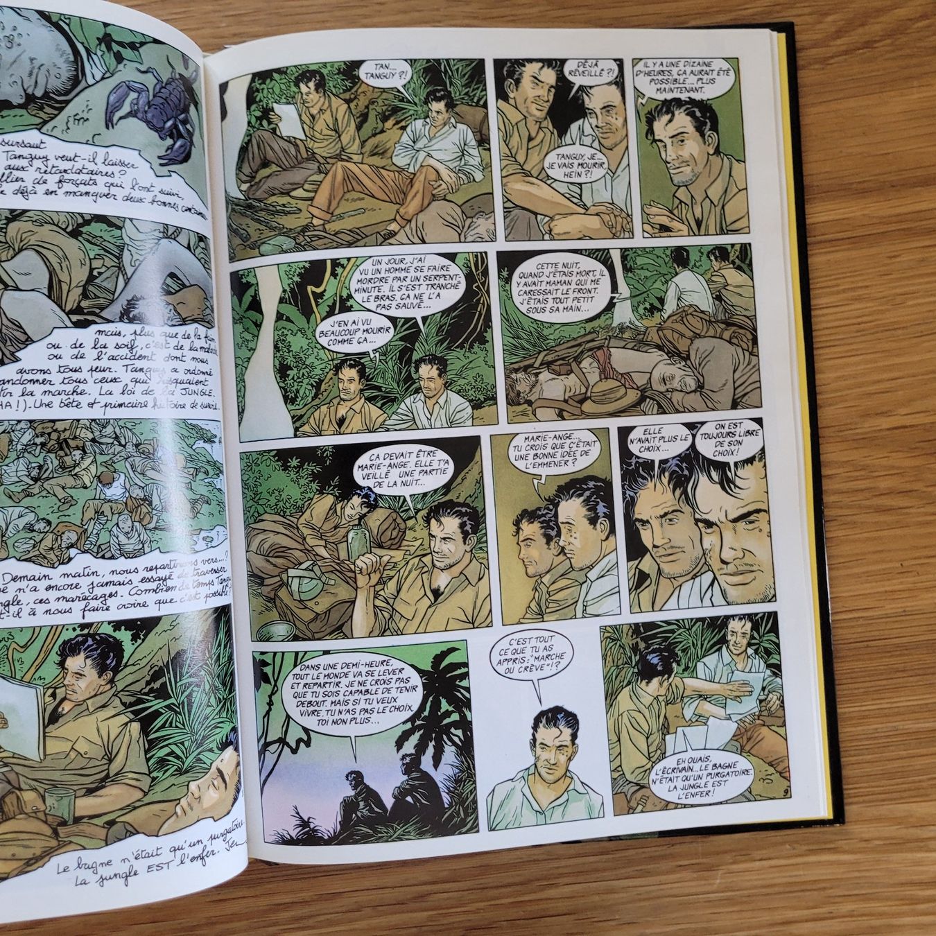 Fumetti: BD EO Dorian Dombre 2. La Mort En Ce Jardin – Usato da Biel/Bienne venduto da Destockweb 3