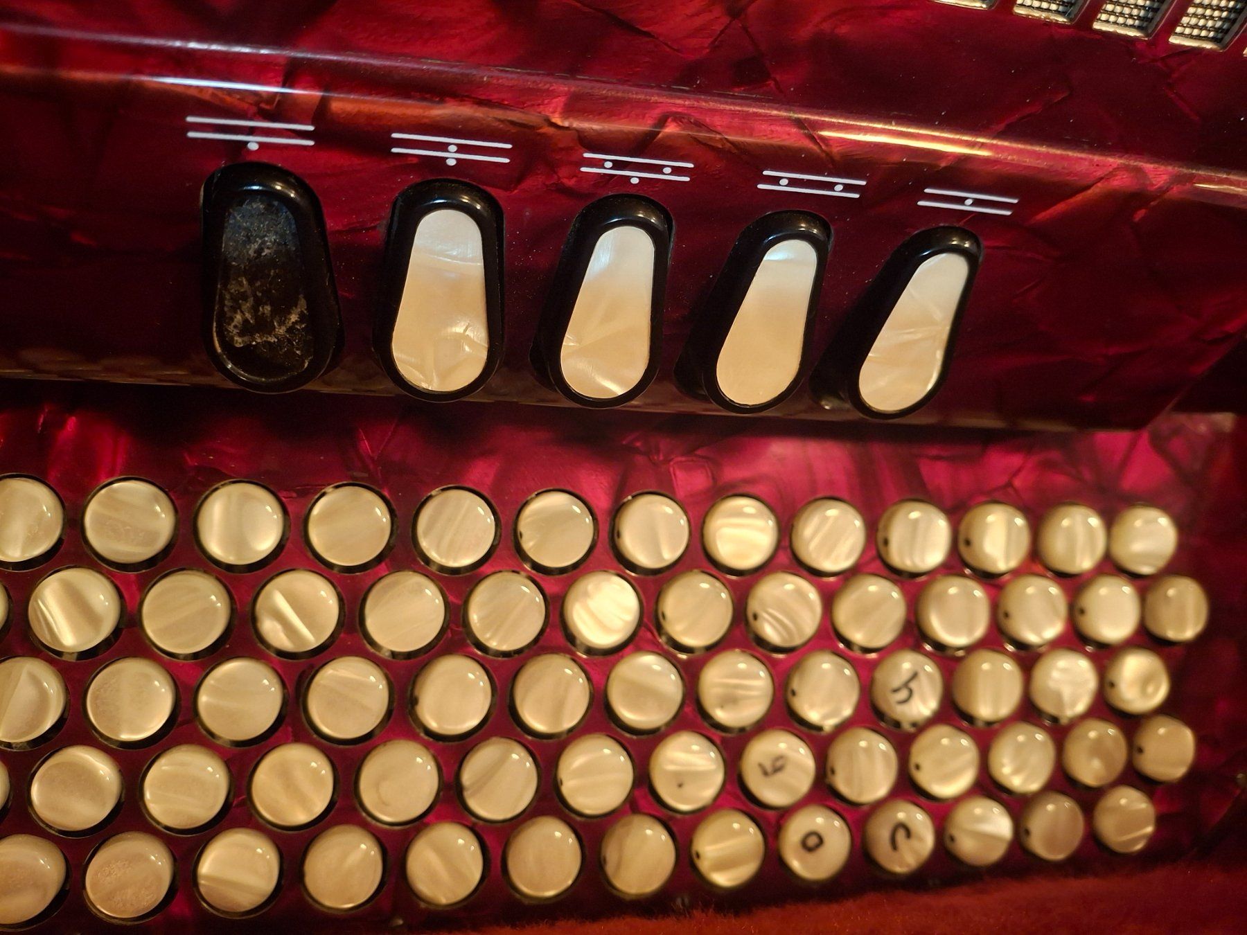 Excelsior Strumenti musicali: Exelsior Handorgel – Usato da Giswil venduto da Sfmmv 3