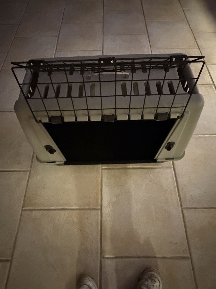 Käfige, Transport & Sicherheit: Transportbox Hund Katze sauber Mittel – Neu (gemäss Beschreibung) aus Dänikon ZH von RAFIMIKI 2
