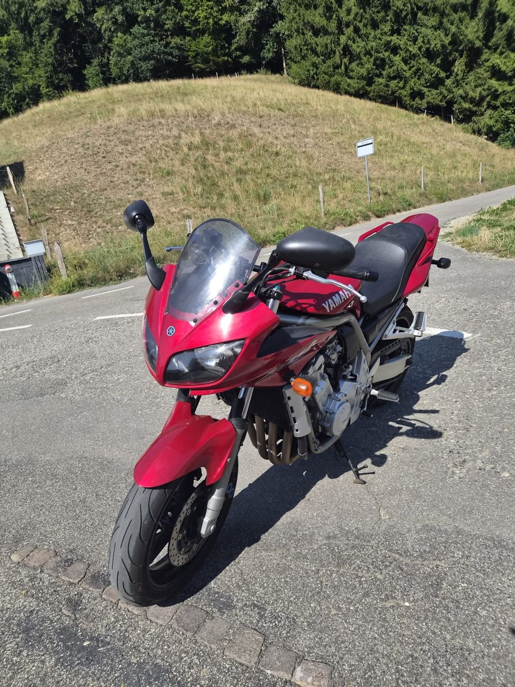 Yamaha Strada: Yamaha FZS1000 – Usato da Riedtwil venduto da molerie 2