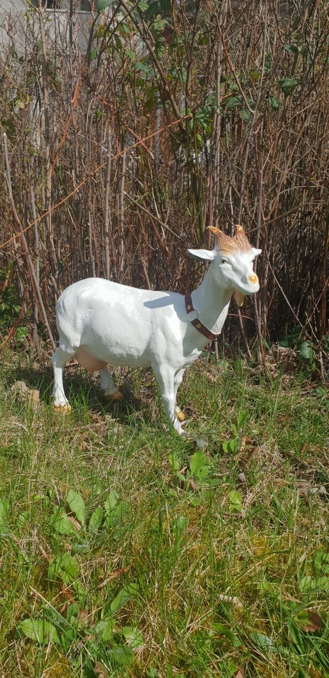 Statuette: Ziege – Nuovo e nell'imballaggio originale da Bern venduto da zwirbelch 3