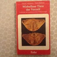Fossilien        Lehmann / Hillmer