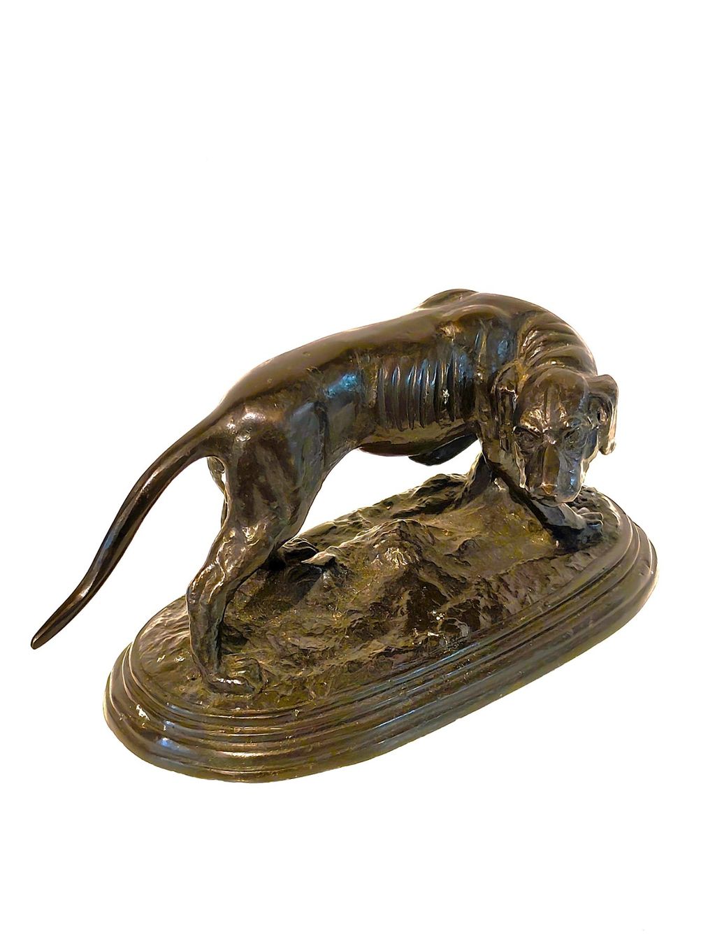 Skulpturen & Statuen: Alter Bronze Jagdhund – Gebraucht aus Zürich von Top-Deal-Schweiz