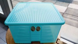 Tupperware Vorratsbox 23cm