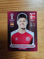 Panini WM 2022-DEN 14