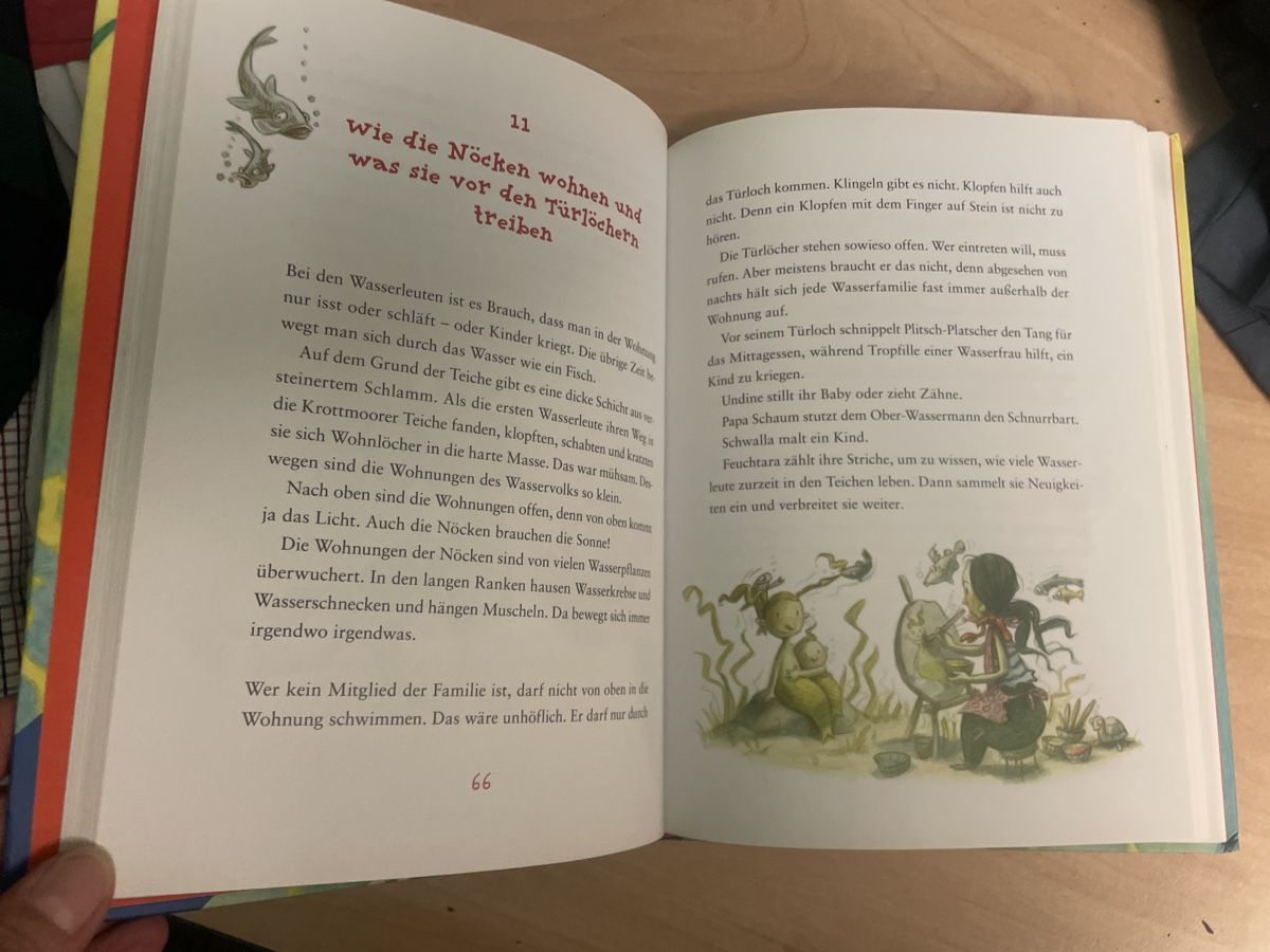 Libri: Gudrun Pausewang: Der rote Wassermann - Kinderbuch top! – Usato da Obergerlafingen venduto da cabo4 2