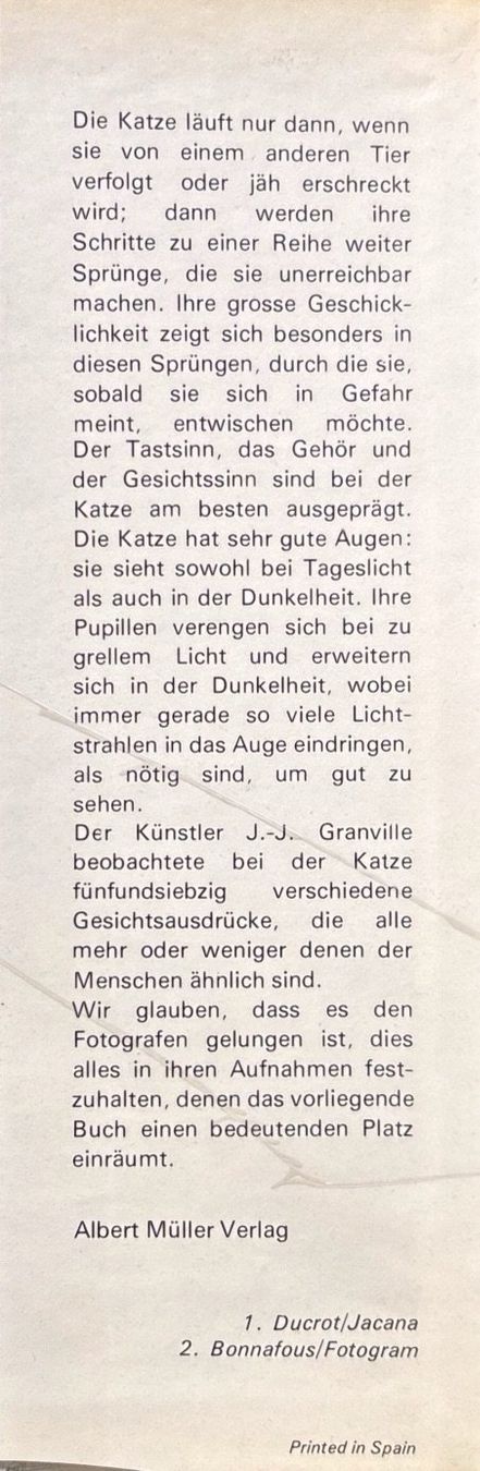 Libri: Katzen die wir lieben – Nuovo (secondo la descrizione) da Sarnen venduto da Livres 3