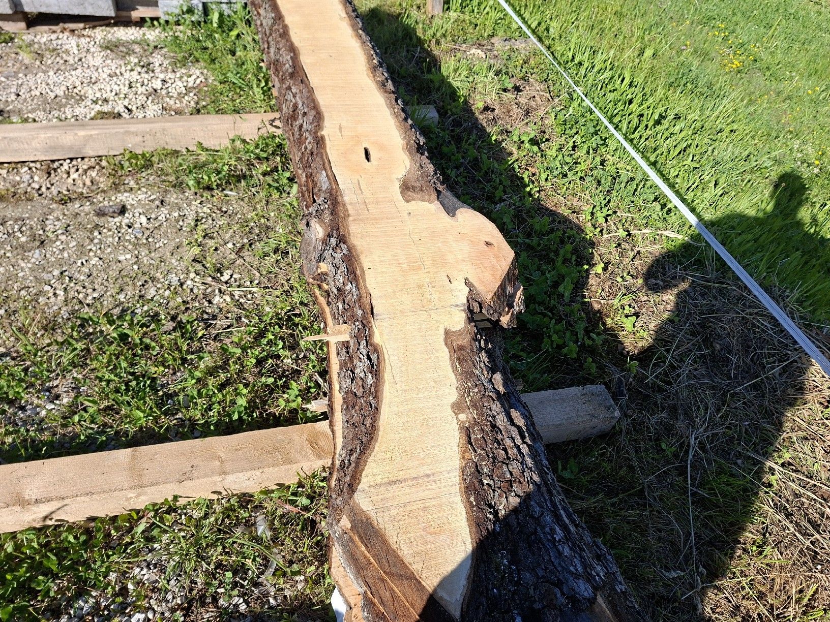 Articoli in legno: Birnenbaumbretter 45mm – Nuovo (secondo la descrizione) da Büren SO venduto da baschi87