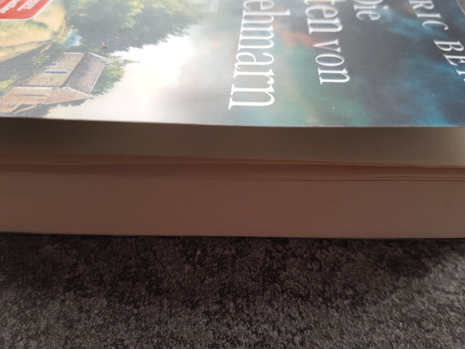 Libri: Die Toten von Fehmarn /  Eric Berg Kriminalroman – Usato da Dietikon venduto da marconi07 2