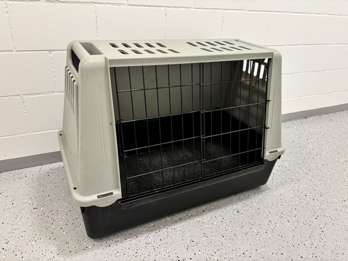 Cucce & Letti: Stabile Transportbox für Hunde oder Katzen – Usato da Neunkirch venduto da autoscooter57 1