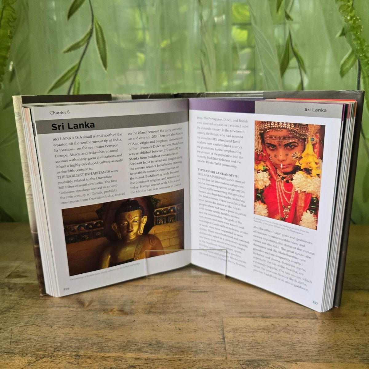Libri: World Mythology – Usato da Merlischachen venduto da Sheavy 7