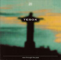 Tesox View trough the past