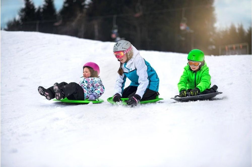 Slitta: Gizmo Riders Supernova 70 Schneerutscher – Usato da Roggwil BE venduto da fengshui