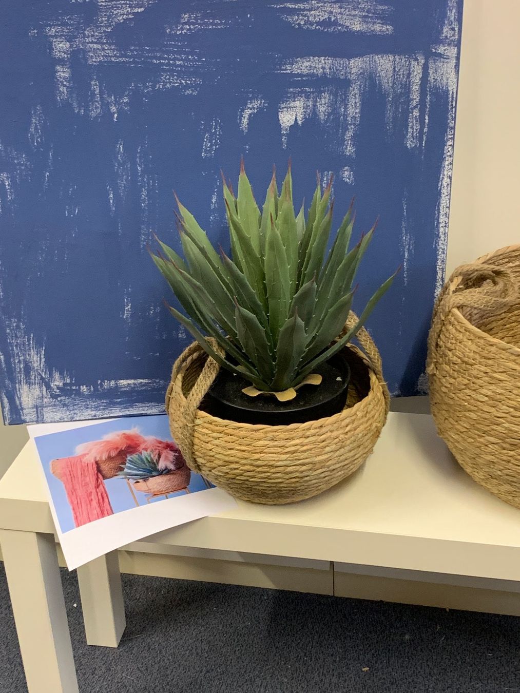 Piante & sementi: wunderschöne Agave im Topf 40cm / Kunstpflanze – Usato da St. Gallen venduto da Miousch 4