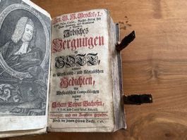 Irdisches Vergnügen in Gott