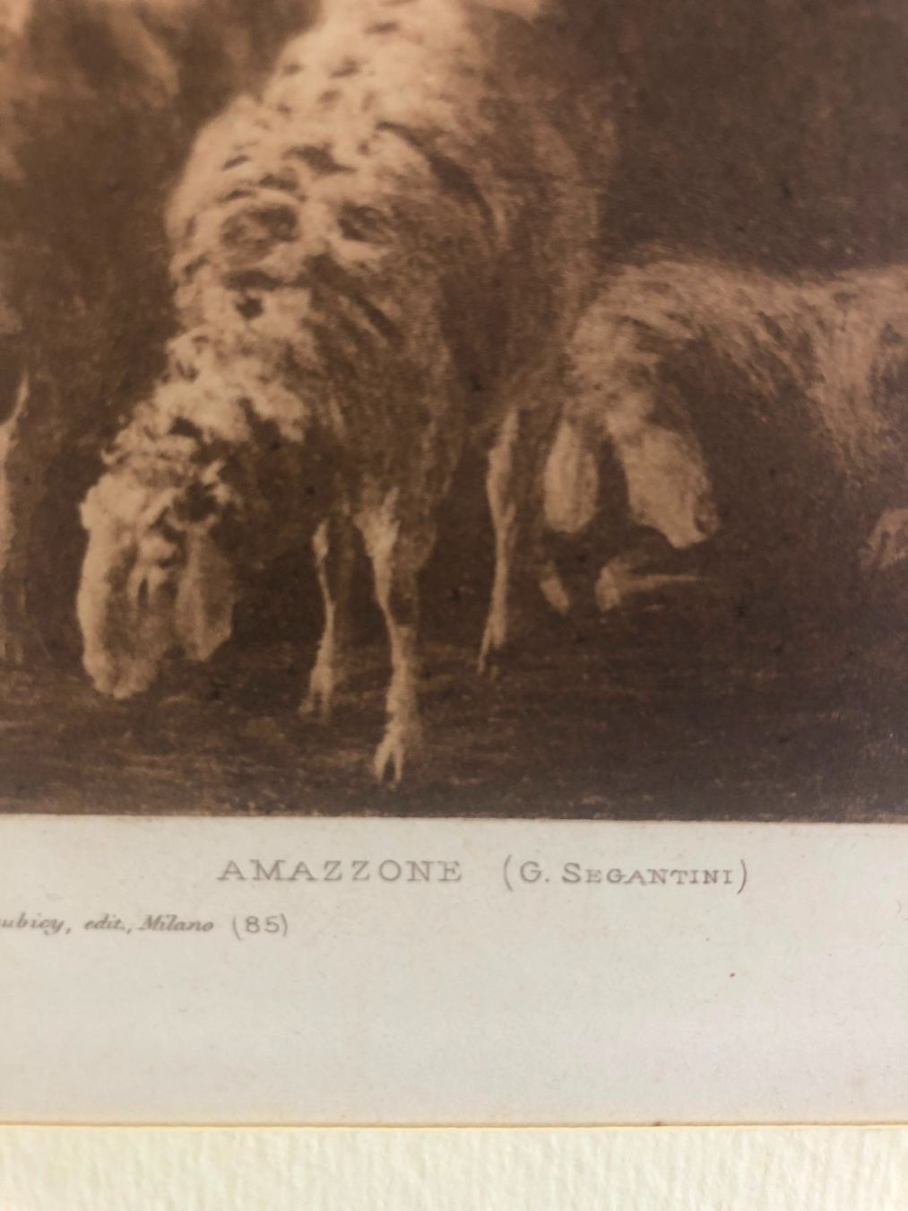 Stiche: AMAZZONE di G. Segantini – Gebraucht aus Massagno von Aldo967 1