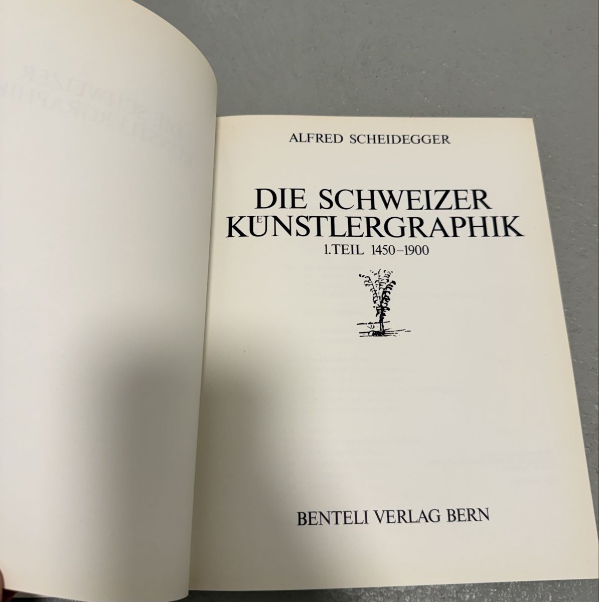 Libri: Die Schweizer Künstlergraphik 1450–1900 – Nuovo (secondo la descrizione) da Dielsdorf venduto da BGiezendanner 1