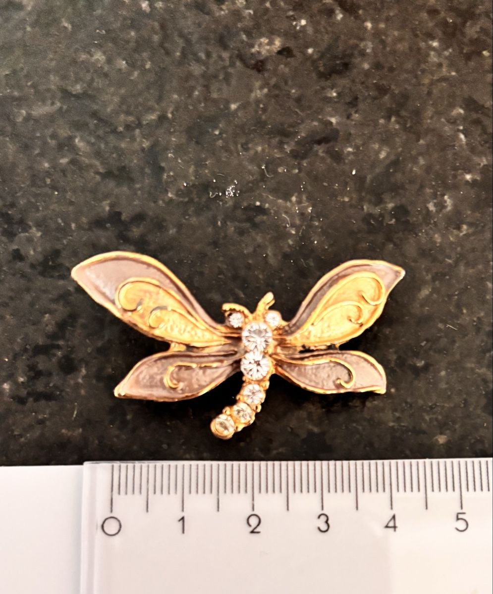 Spille & Fermagli: Vintage Libellen Brosche mit Emaille und Strass – Usato da Arbon venduto da Langbretterer