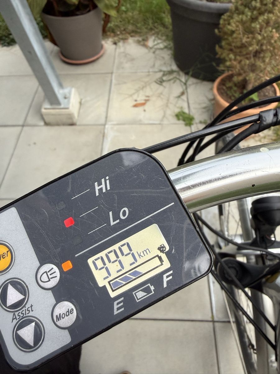 Flyer Biciclette: E-Bike Flyer  – Usato da Langenthal venduto da Nina_Leonie 2