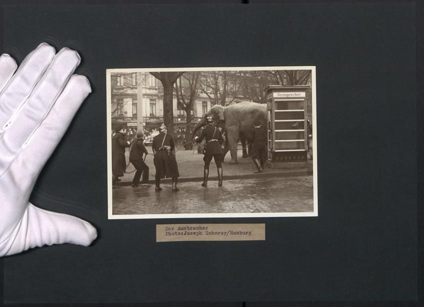 Fotografie &  Plakate: Fotografie Norderstedt, Der Ausbrecher,  – Gebraucht aus Berlin von bartko-reher