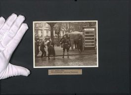 Fotografie Norderstedt, Der Ausbrecher, 