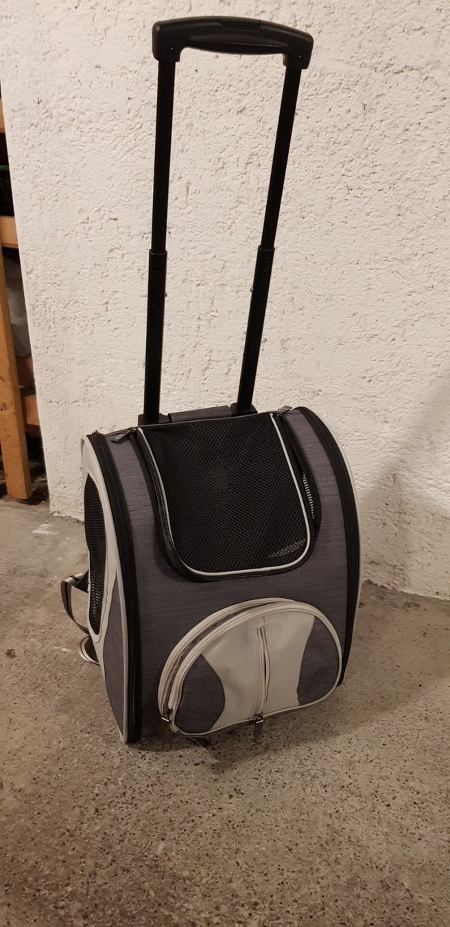 Valigie & Borse: Hunde und Katzen Trolly-Rucksack Chester – Usato da Zürich venduto da fiat72 9