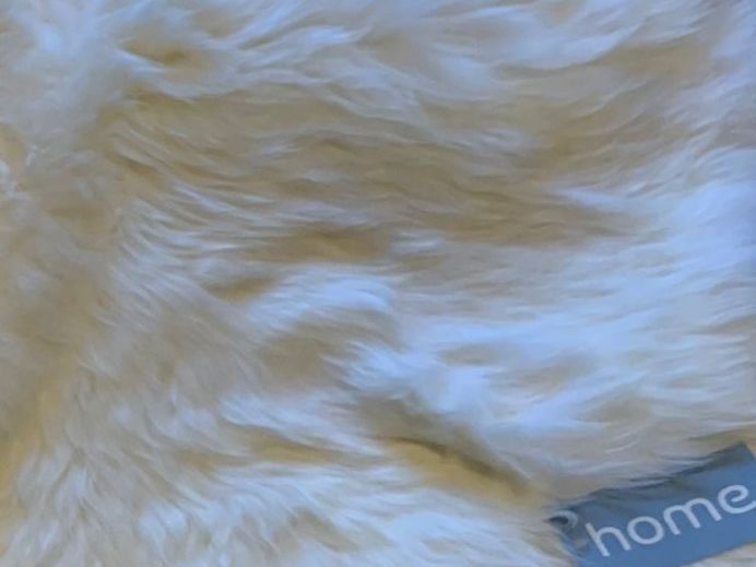 Pfister Coperte: 3 neue Schaffelle von Pfister statt 300! – Nuovo e nell'imballaggio originale da Gwatt (Thun) venduto da tomstown 2